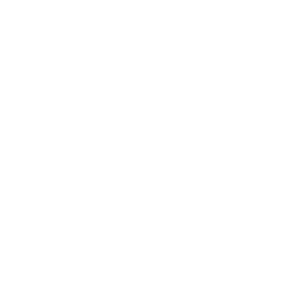 AUX Browser Plugin icon