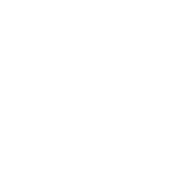 Site Monitoring icon