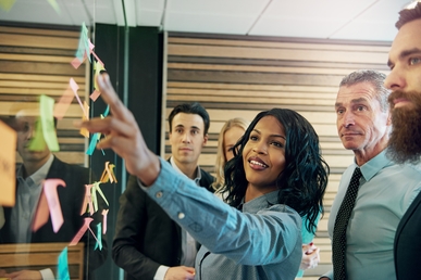 [BLOG] Top 5 Reasons to Engage and Agile Coach on the Way to Self-Sustainable Business Agility