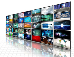 Media & Broadcasting Media Publishing & Entertainment Services