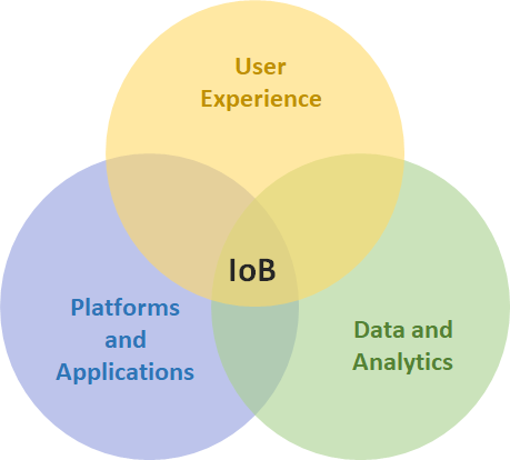 The evolving pyramid of IoB