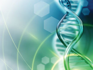 Life Sciences Life Sciences