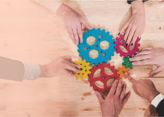 Salesforce Capability