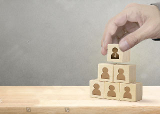 Salesforce Capability