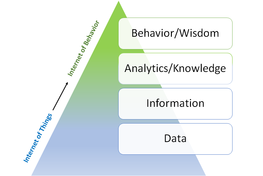 The evolving pyramid of IoB