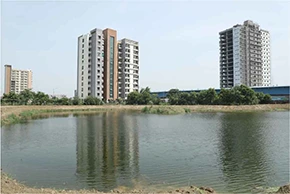 HCL Harit