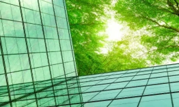 Sustainability in practice: How companies can go about it