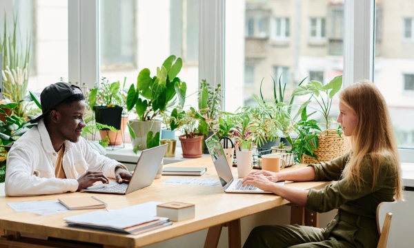 Developing a digital sales platform to transform customer experience at E.On