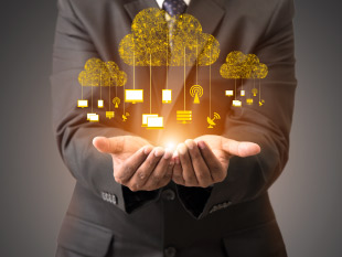 ntegration Services ntegration Services