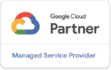 Managed Service Provider (MSP) Partner