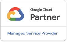 Managed Service Provider (MSP) Partner Managed Service Provider (MSP) Partner