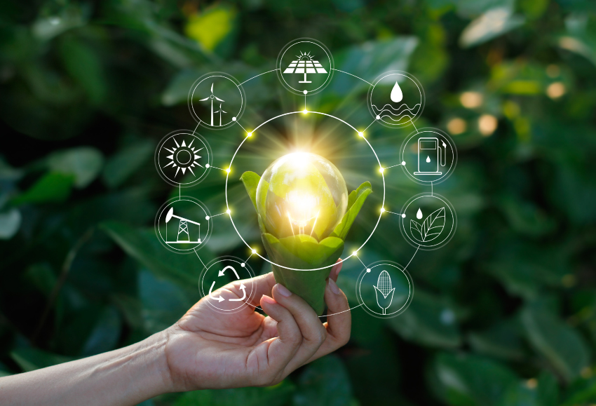 The Decade of Action for Sustainability-led business