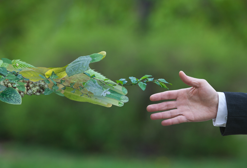 Leveraging Digitalization for Sustainability