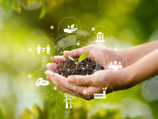 Simplified ESG Analytics