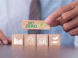 Zero Impact Platform Zero Impact Platform