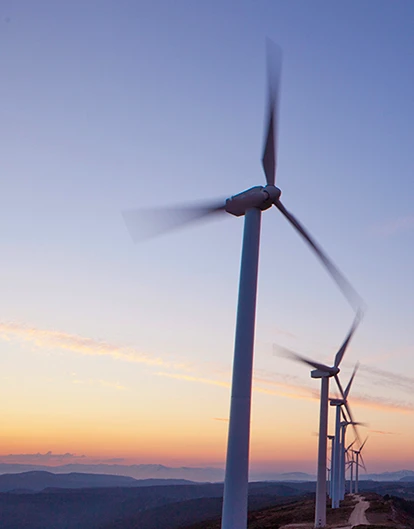 The Role of Digital Asset Management in meeting the ESG Metrics