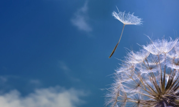 IT transformation services IT transformation services