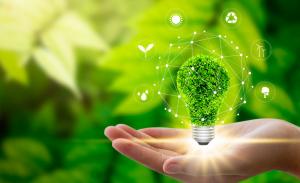 Sustainability: A Key Driver of Innovation