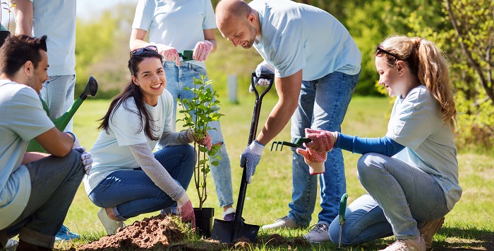 How artificial intelligence can help the enterprise meet sustainability goals