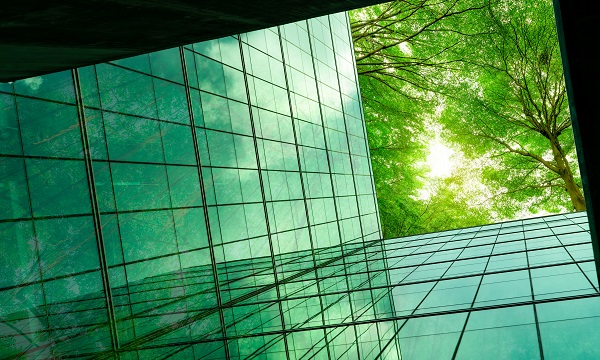 Demystifying sustainability is key to making it a core business vision